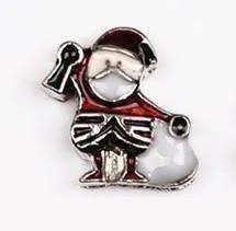 Holiday Collection Free Floating Charms for Charm Locket Necklaces