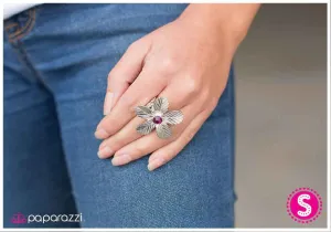 Paparazzi Ring ~ I Am An Island - Purple