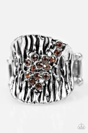 Paparazzi Ring ~ Tiger Stripes - Brown